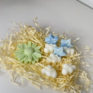IMG_1719 wax melt artesanal